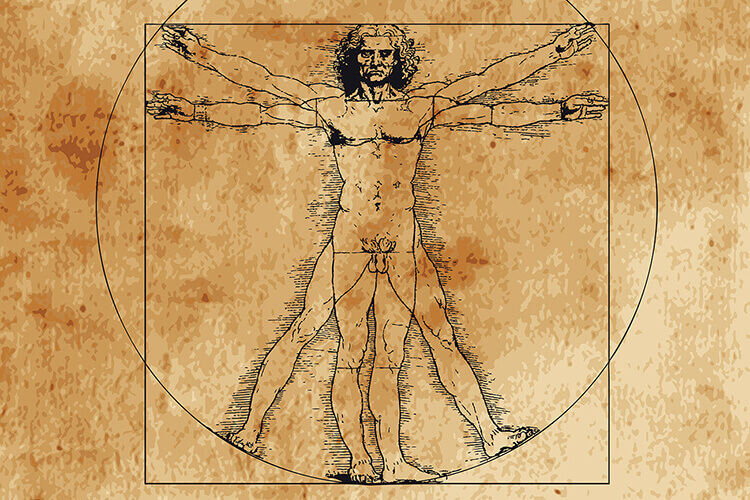 Автор правила не да Винчи