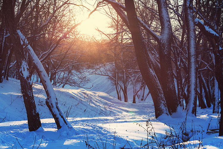 освещение на зимних фото