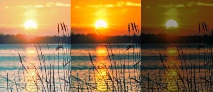 Экспозиция