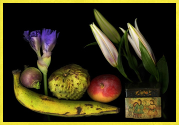 Что такое сканограмма и как ее сделать