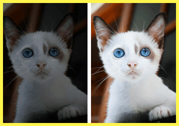 Экспозиция в фотографии