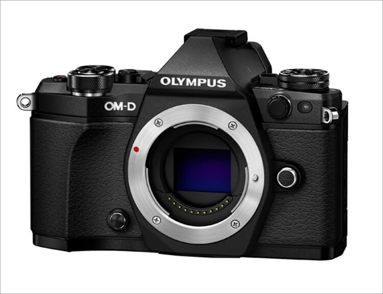 Крепление Four Thirds System