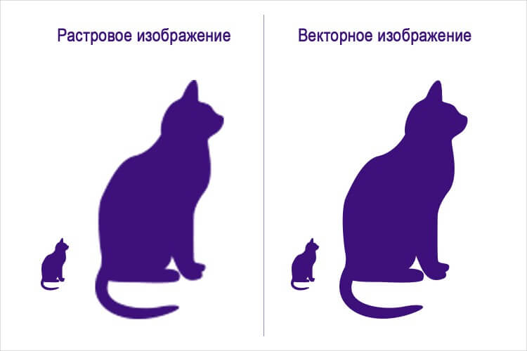 Изменение масштаба вектора и растра