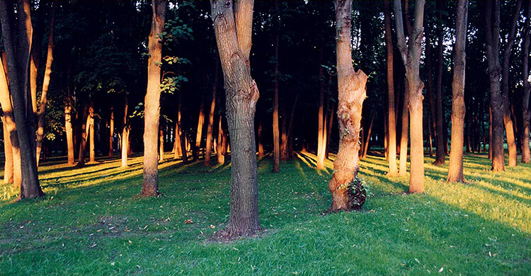 Обратная тональная перспектива