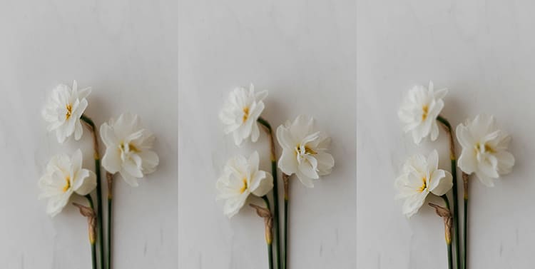 перемещение без изменения точки фокуса