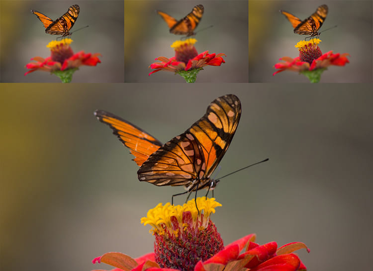 образец результата