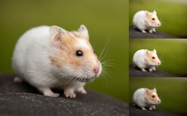 детализация движущегося объекта