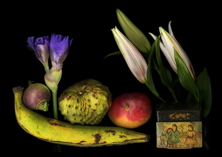 Что такое сканограмма