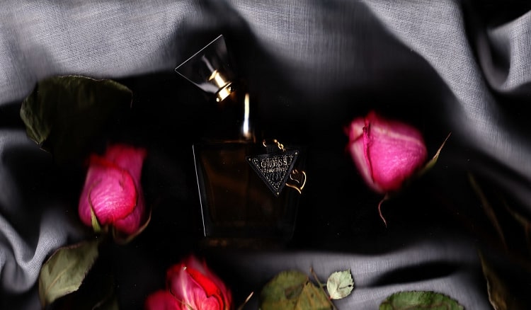 Сканограмма