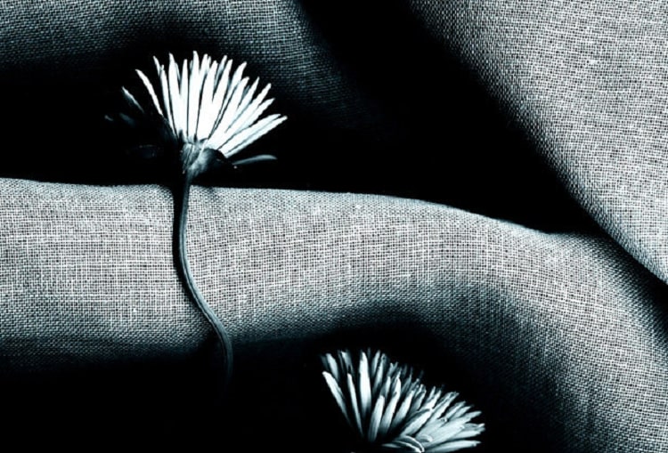 Процесс сканорования