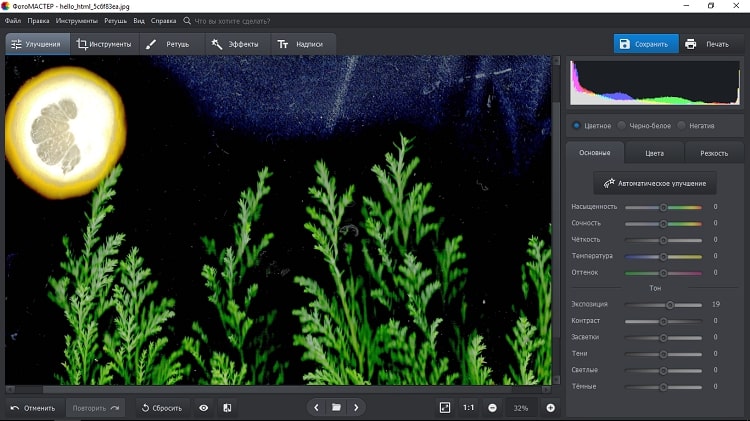 Экспозиция