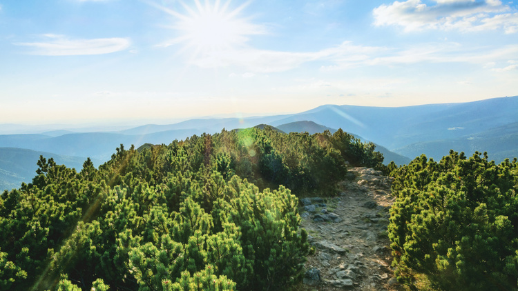 исходное фото