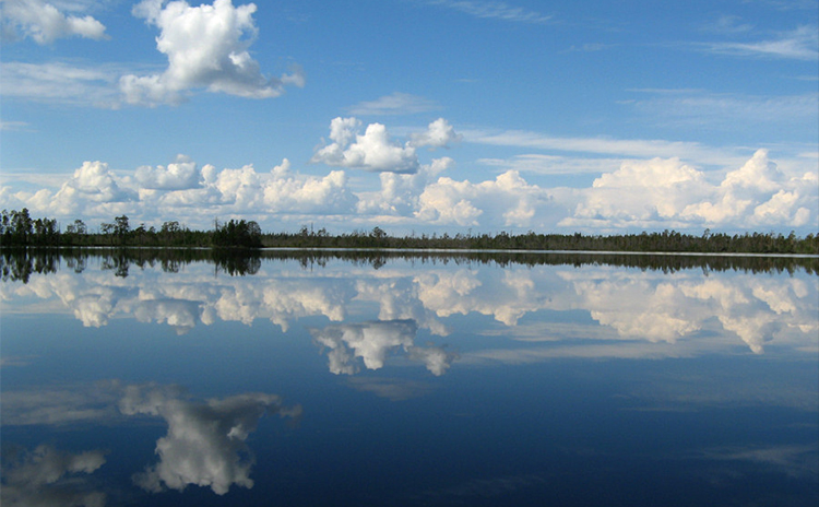 отражение в воде
