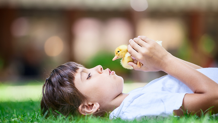 эффект размытия фото