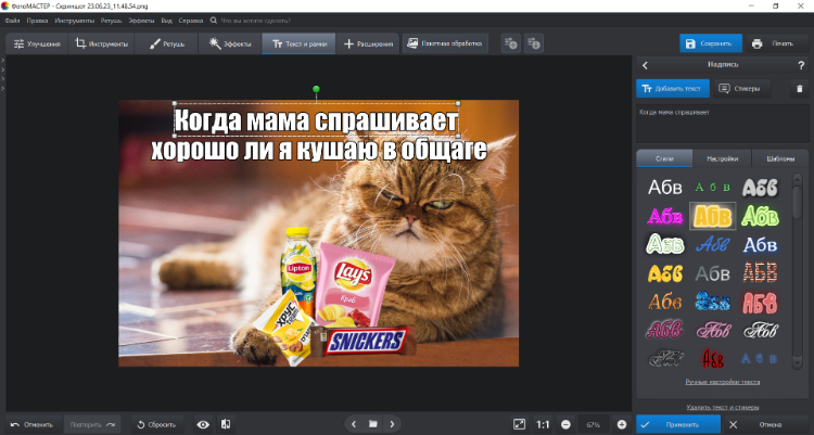 Мем в программе ФотоМАСТЕР