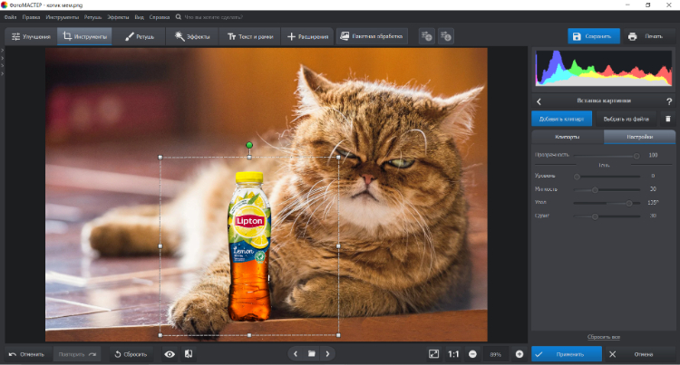 Размещение элементов в программе ФотоМАСТЕР