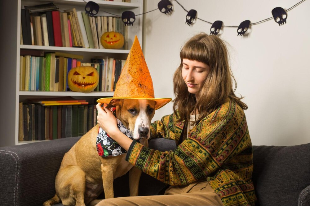 Фотосессия с домашними питомцами