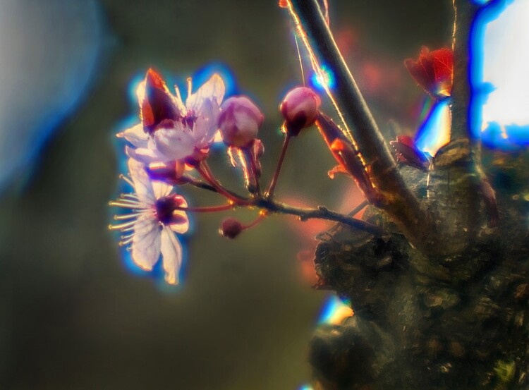 Хроматическая аберрация в фотографии