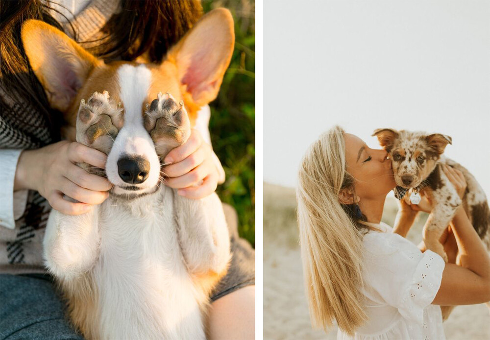 Фотосессии с питомцами