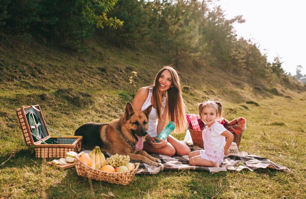 Семейный пикник с животными