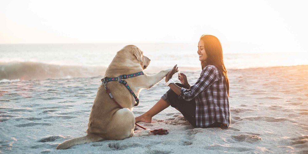 Съемка игр у воды с питомцем