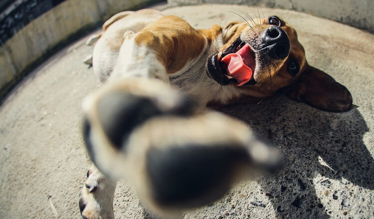 Камера и объектив