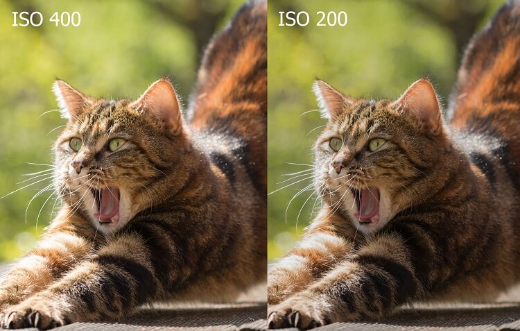 Освещение и ISO