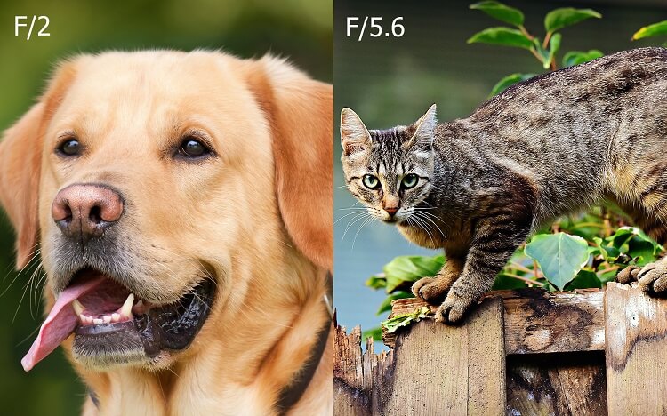 Настройки камеры