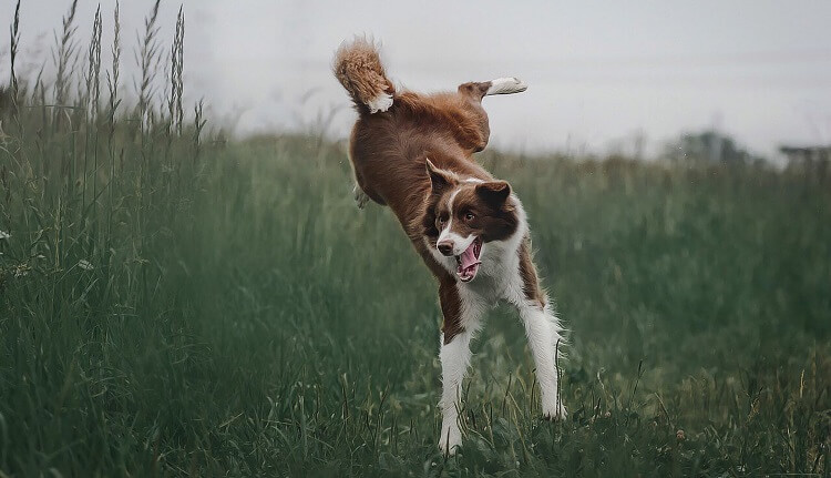 Настройки камеры 2