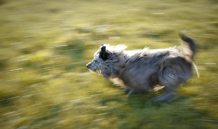 Настройки камеры 3