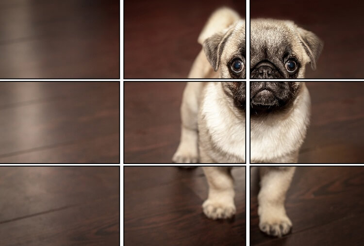 правило третей