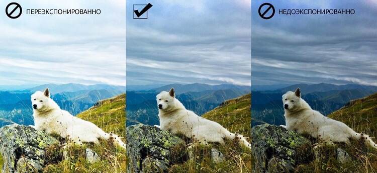 правило третей