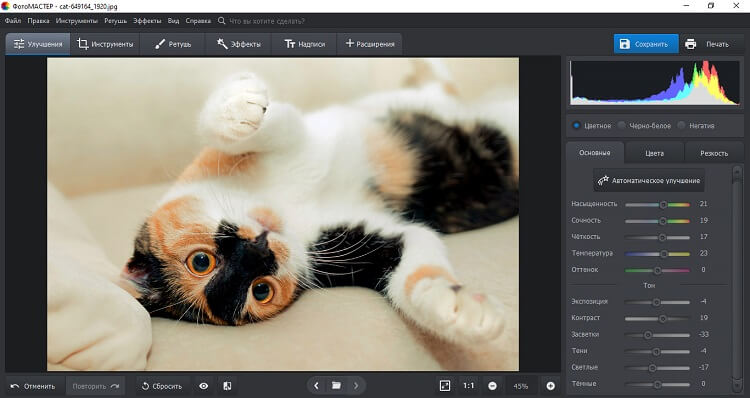 экспозиция