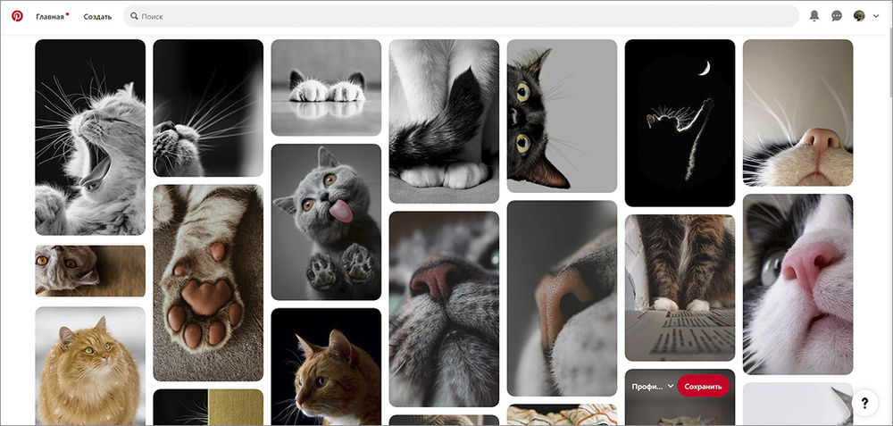 Примеры фотографий для фотосессии