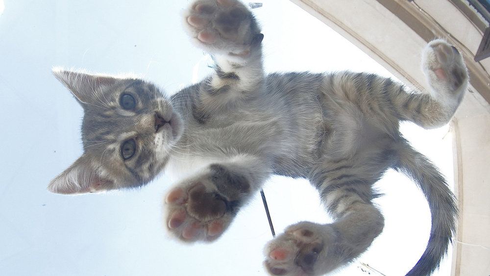 Ракурс снизу