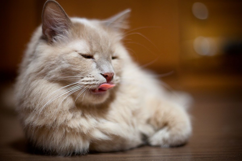 Фото с широкой апертурой