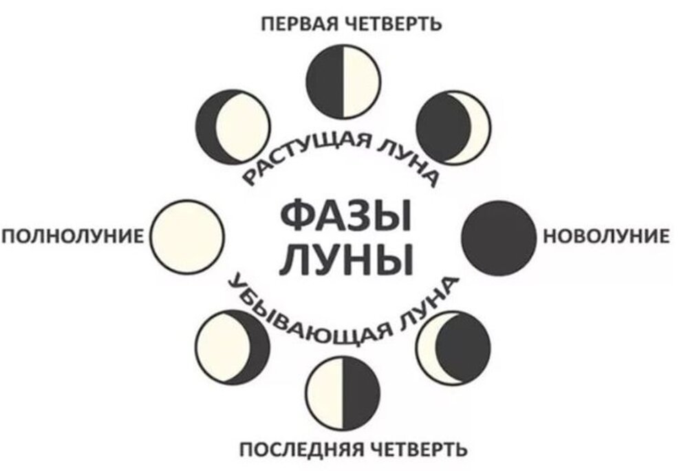 Фазы Луны