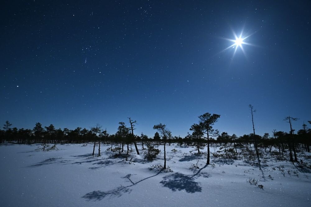 Зимний пейзаж с Луной