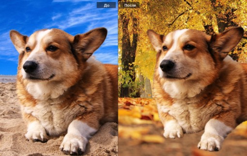 Как обрезать фото по контуру