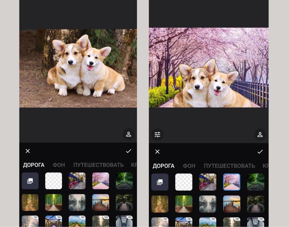 Photo Background Changer