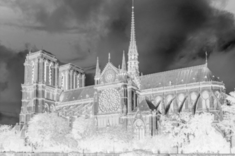 Оригинальная пленка