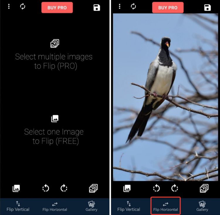 Как отзеркалить изображение