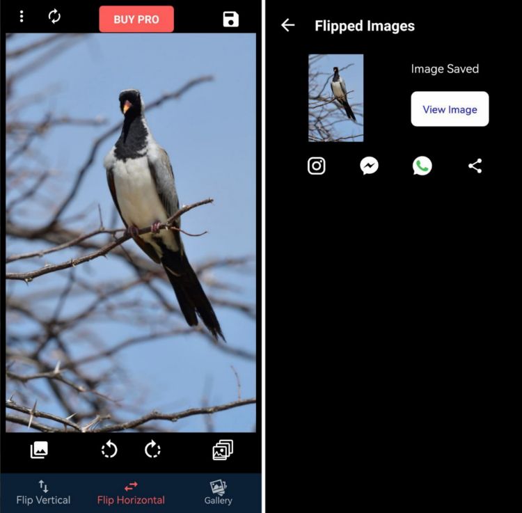 Как повернуть фото зеркально