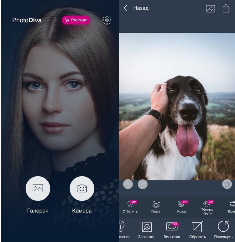 Скачайте приложение