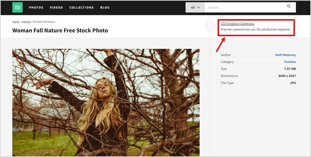 Пример фото для коммерции