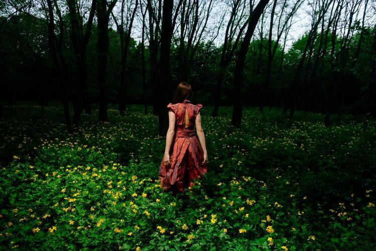 Сочетание цветов