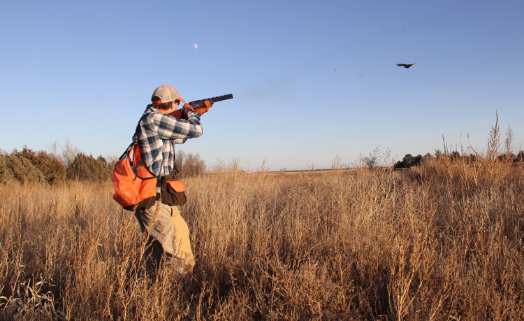 Реквезит на фото