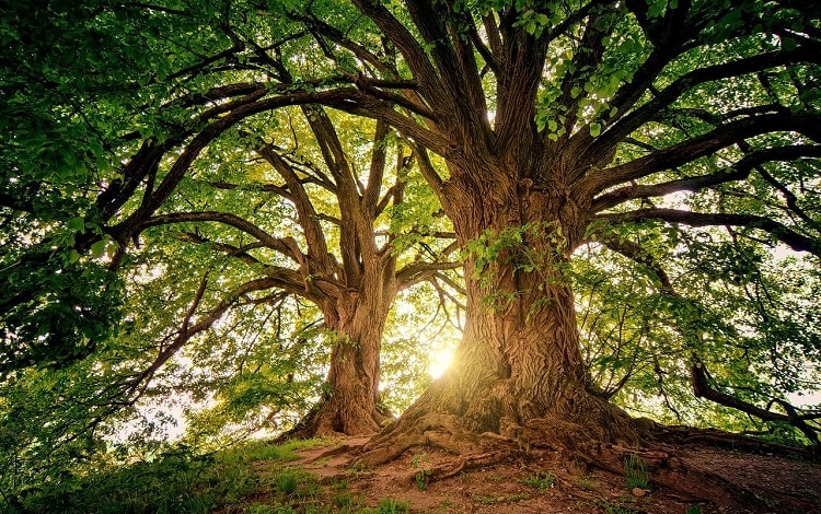 Смотрите по сторонам