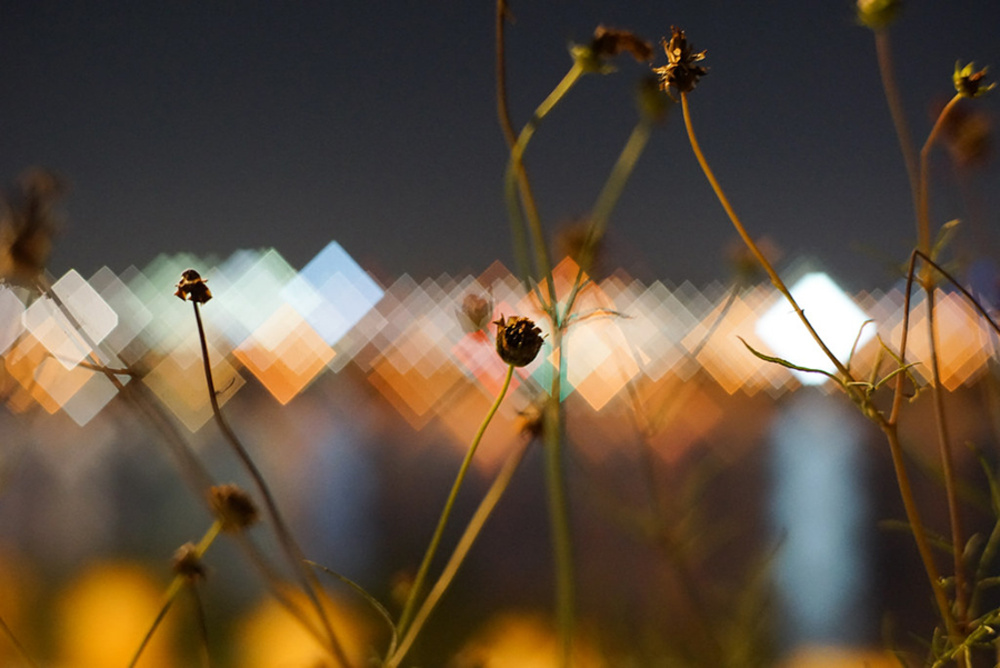 Зенитар-МЕ1