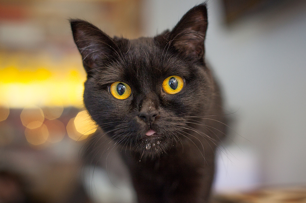 Фигурное боке